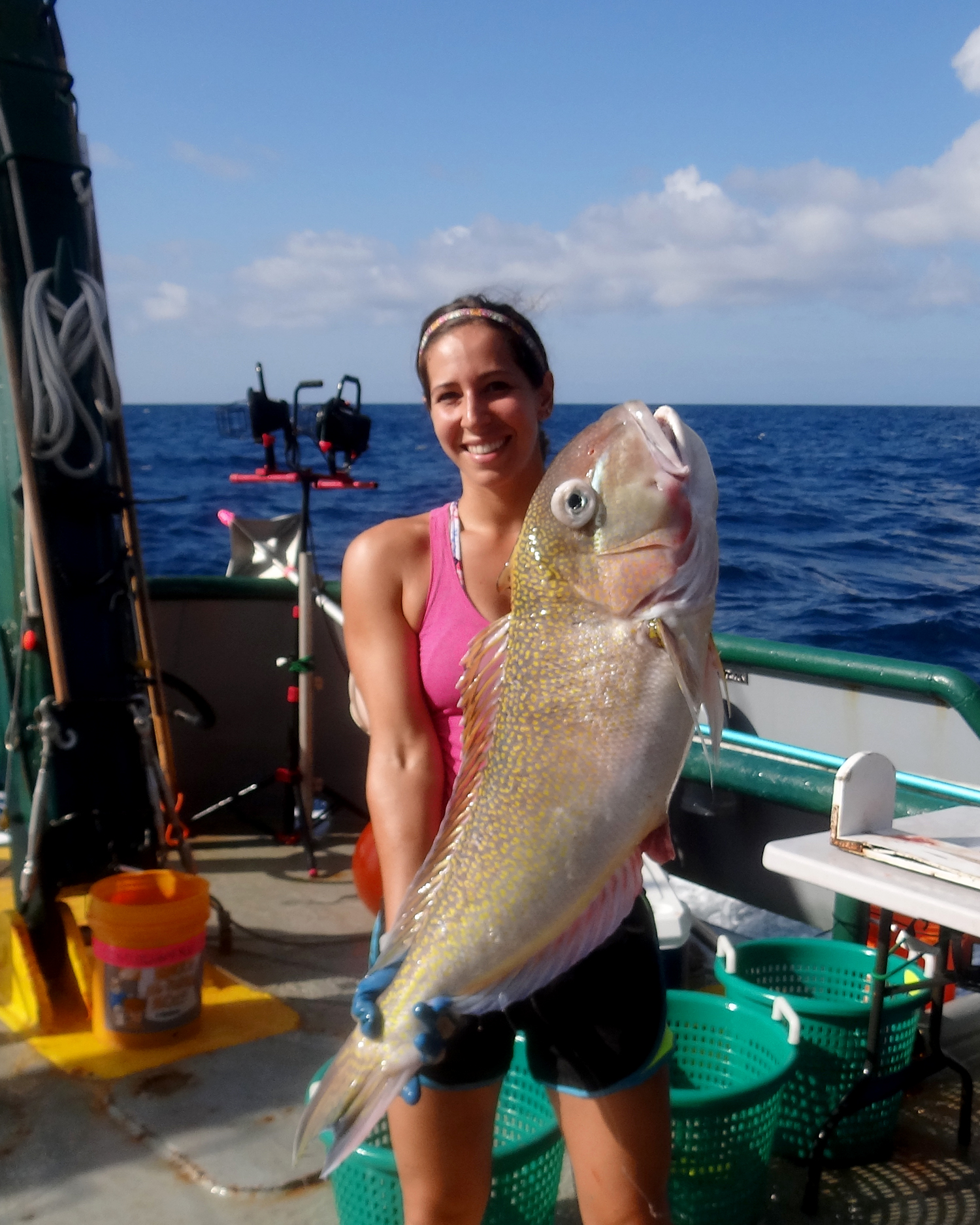 Tilefish