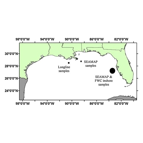 Fish Diets In The Gulf Of Mexico