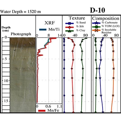 Sedimentation Pulse In The NE Gulf Of Mexico Following The 2010 DWH Blowout