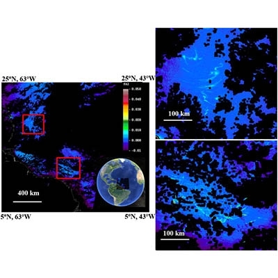Spectral And Spatial Requirements Of Remote Measurements Of Pelagic Sargassum Macro Algae