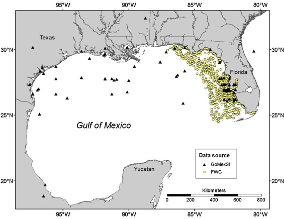 Progression Of A Gulf Of Mexico Food Web Supporting Atlantis Ecosystem Model Development