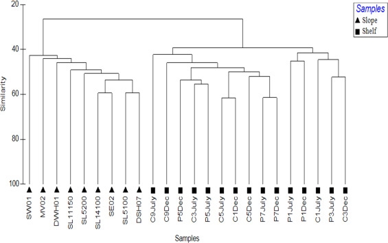 Molecular Characterization Of Benthic Foraminifera Communities From The Northeastern Gulf Of Mexico Shelf And Slope Following The Deepwater Horizon Event