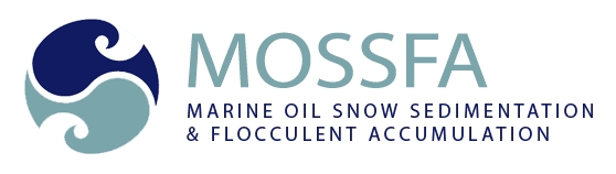 MOSSFA Workshop At The 2017 GoMOSES Meeting