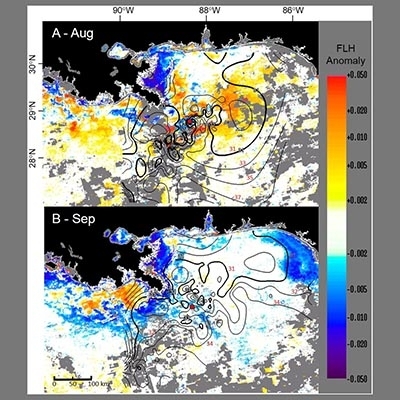 The Role Of Mississippi River Discharge In Offshore Phytoplankton Blooming In The Northeastern Gulf Of Mexico During August 2010