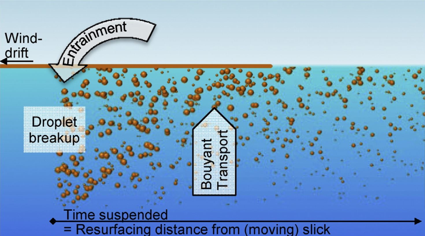 C-IMAGE Study Improves Knowledge Of Dispersants’-GoMRI Homepage