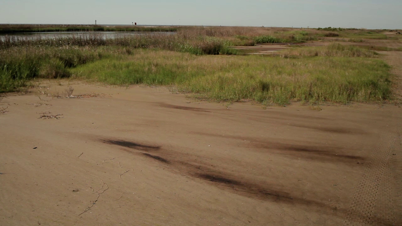 #13 For A Few Dollars More: Costs And Ecosystem Services After Spills