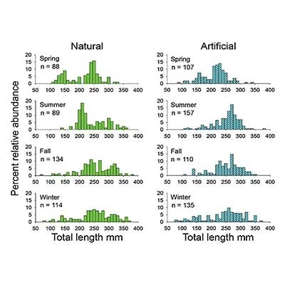 Habitat And Diet Of Lionfish In The Northern Gulf