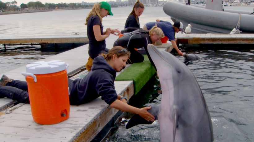 Environmental Film Festival-Dispatches From The Gulf 2