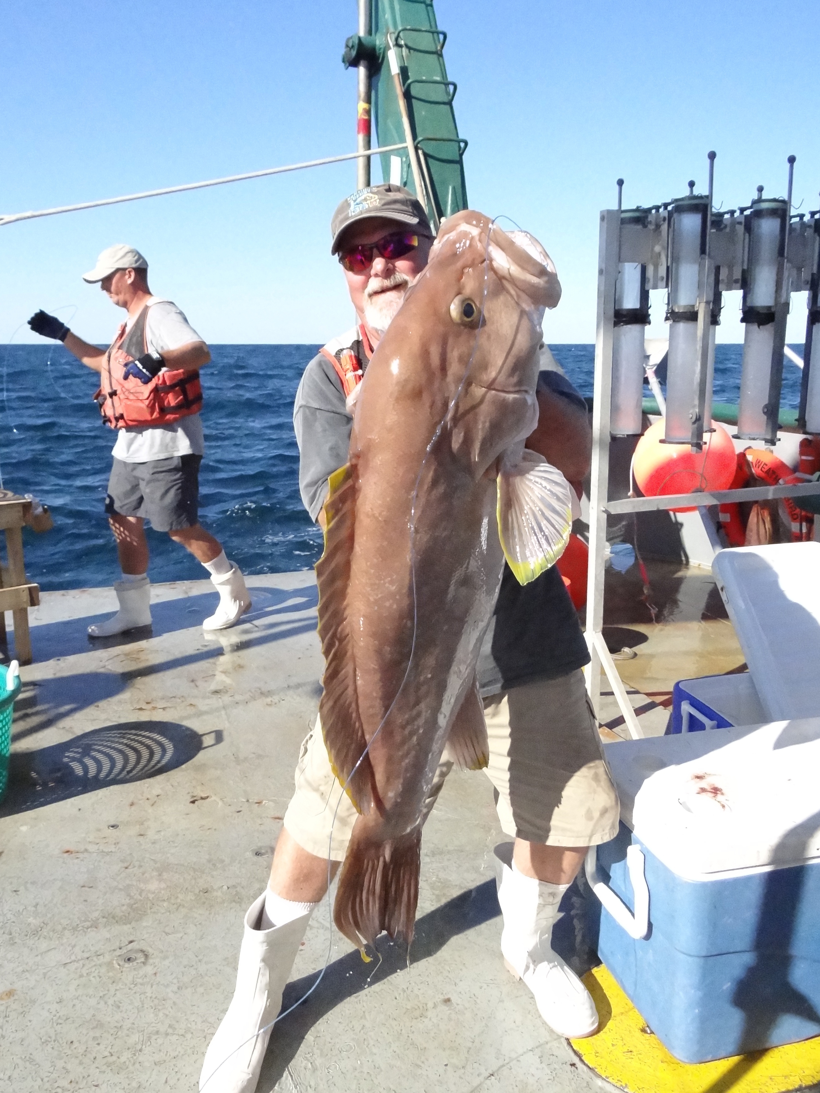 Oil Spill Research Cruise Fishes Up Rare Shark And 24.7kg Grouper