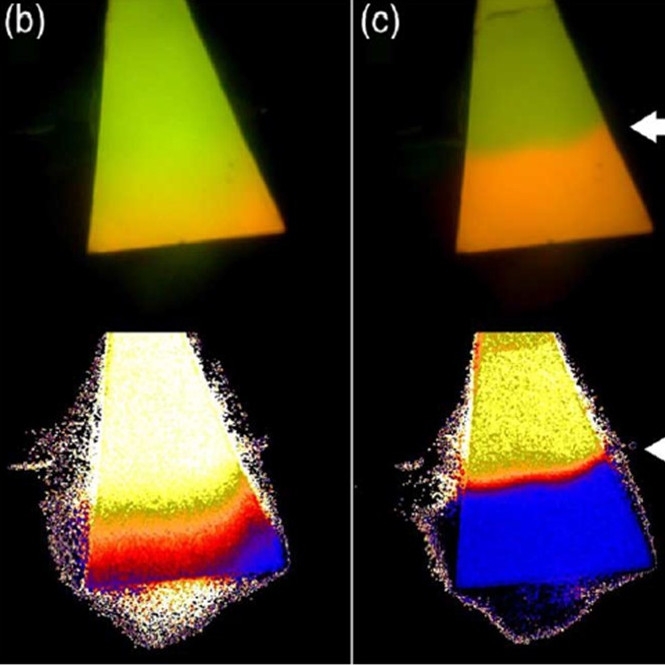 Online Monitoring Of Crude Oil Biodegradation At Elevated Pressures