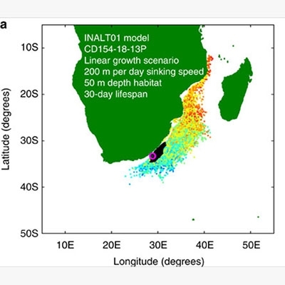 Ocean Currents Generate Large Footprints In Marine Palaeoclimate Proxies