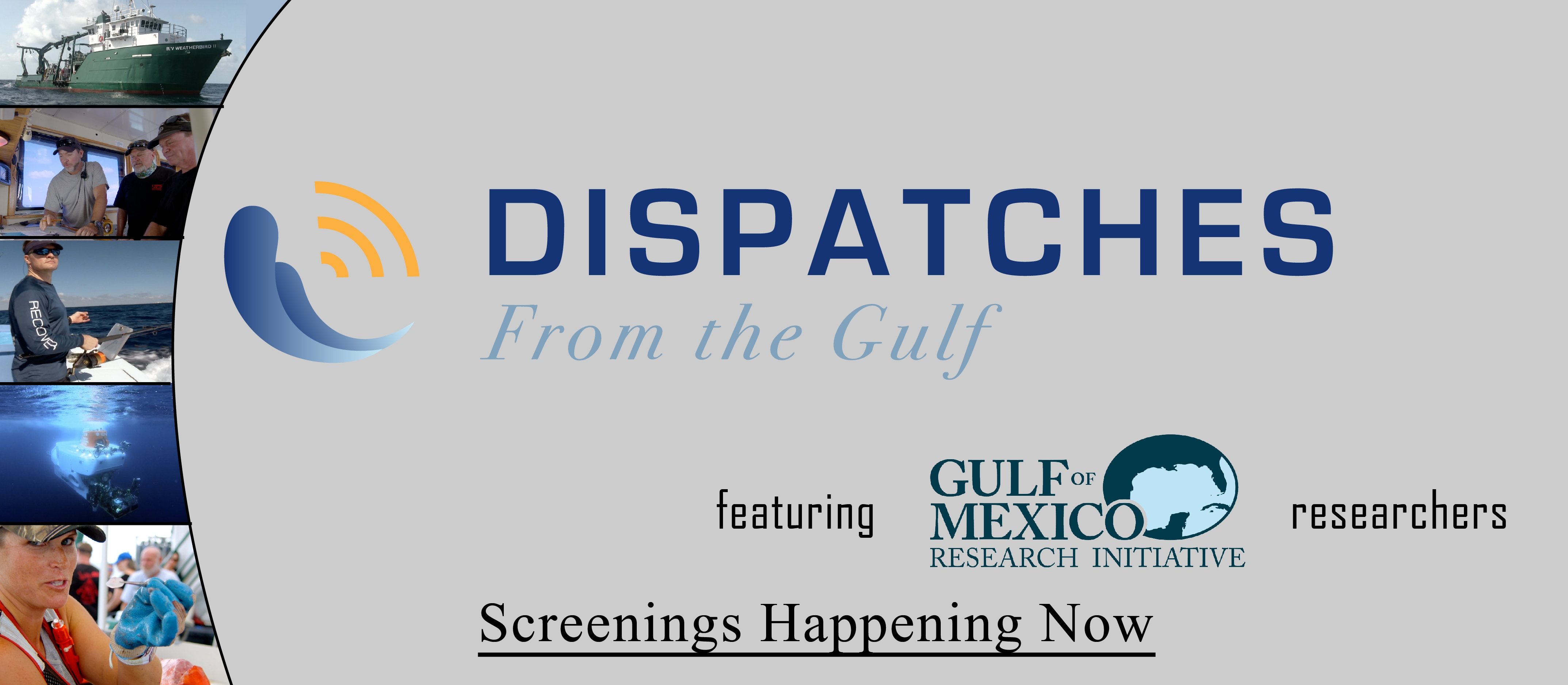 ‘Dispatches From The Gulf’ Emphasizes C-IMAGE Research