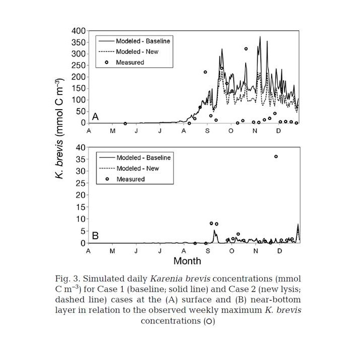 Simulating Cell Death In Karenia Brevis Blooms