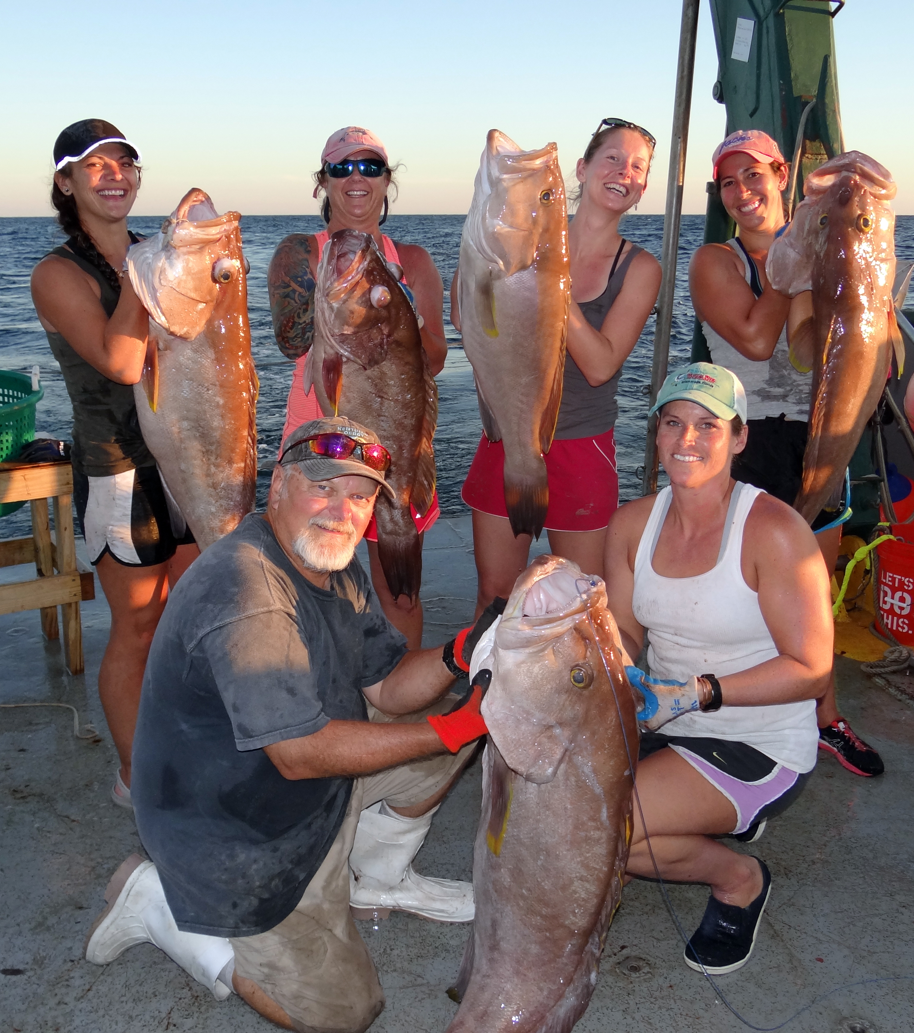 Groupers