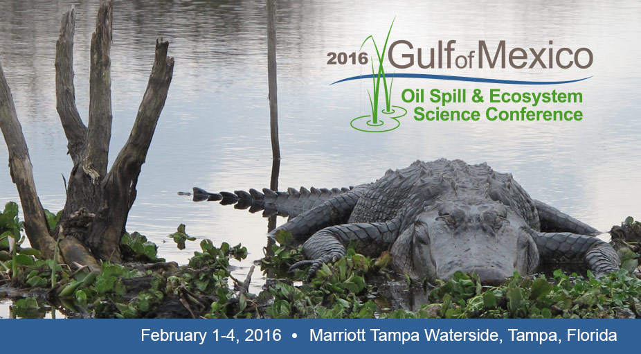GoMRIConference2016