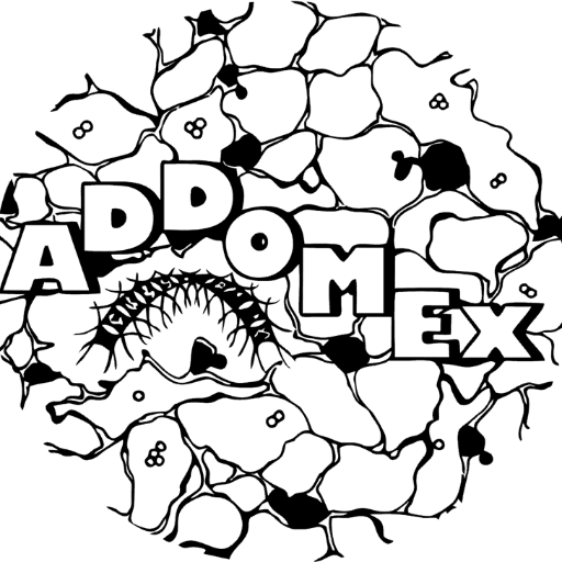 Logo ADDOMEx