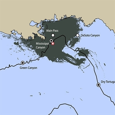 Passive Acoustic Monitoring Of Beaked Whale Densities In The Gulf Of Mexico