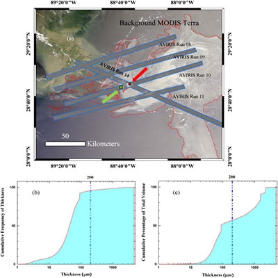 Oil Slick Morphology Derived From AVIRIS Measurements Of The Deepwater Horizon Oil Spill: Implications For Spatial Resolution Requirements Of Remote Sensors