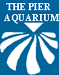 The Pier Aquarium