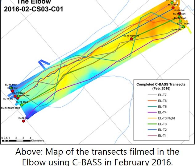 February 2016, C-BASS – The Elbow, Gulfstream Pipeline, & Steamboat Lumps