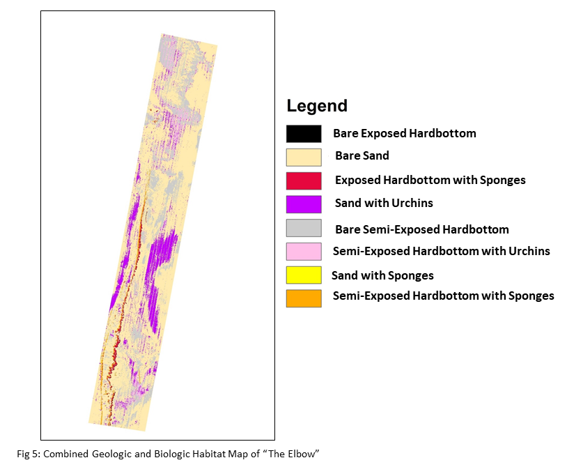 Geologic and Habitat Map