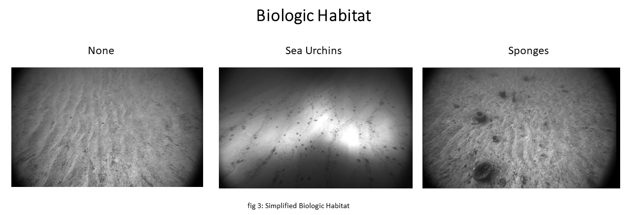 Simple Biologic Habitat