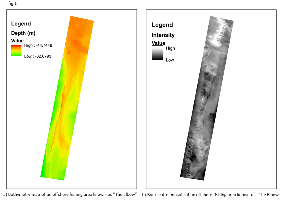 Depth structure contour map of the acoustic substrate