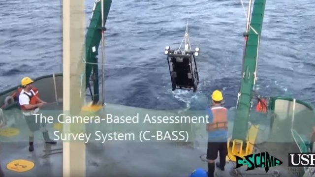 C-BASS: A Towed Camera System for Visual Reef Fish Abundance Estimates and Benthic Habitat Assessment