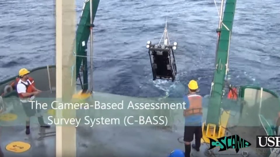 C-BASS: A Towed Camera System for Visual Reef Fish Abundance Estimates and Benthic Habitat Assessment