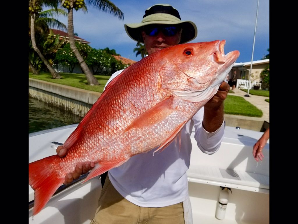 Red Snapper