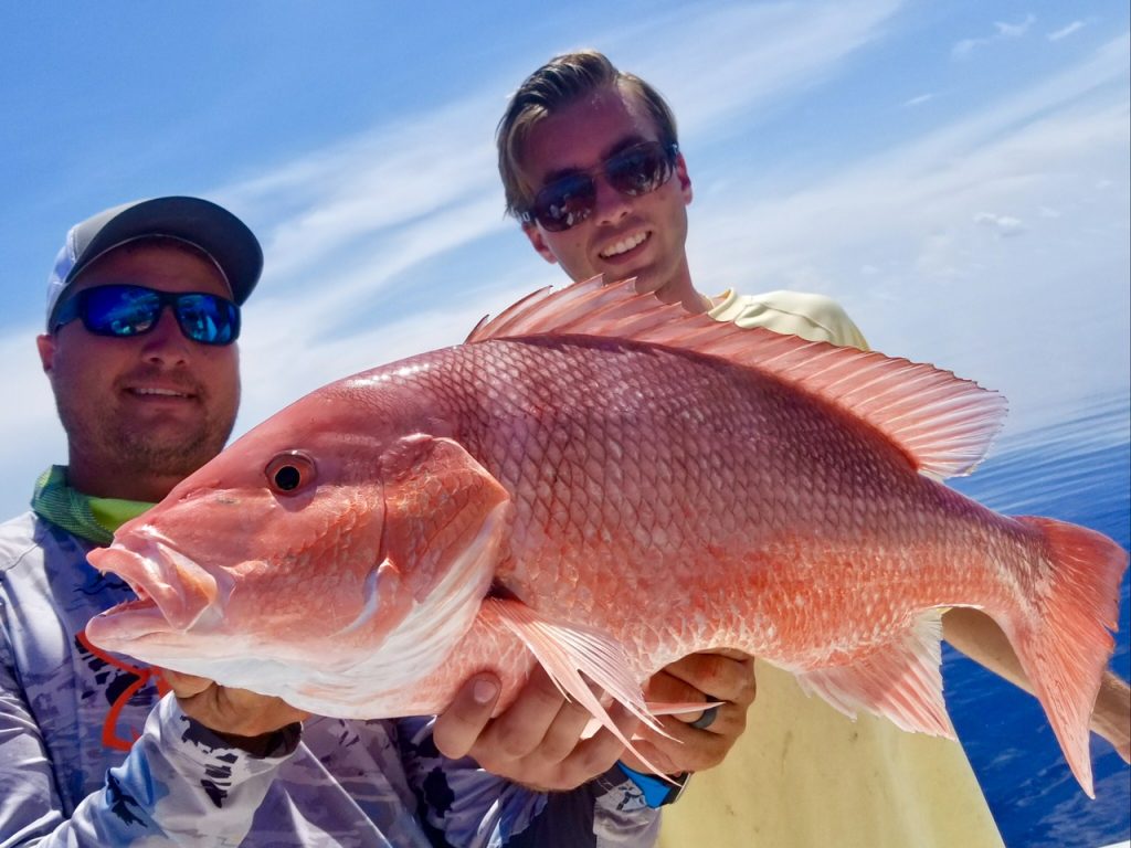 Red Snapper