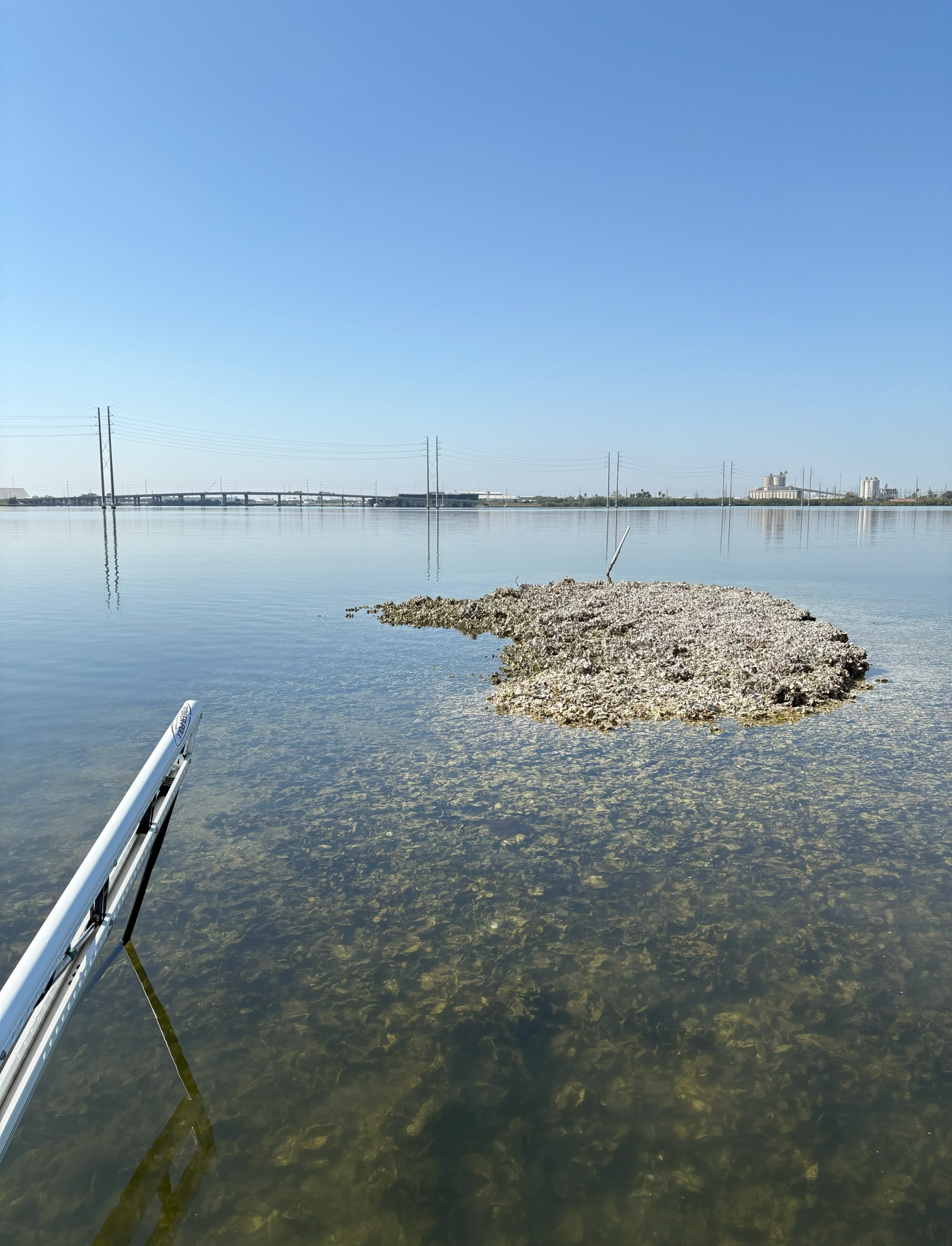 Sample site in McKay Bay