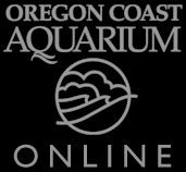 Oregon Coast Aquarium