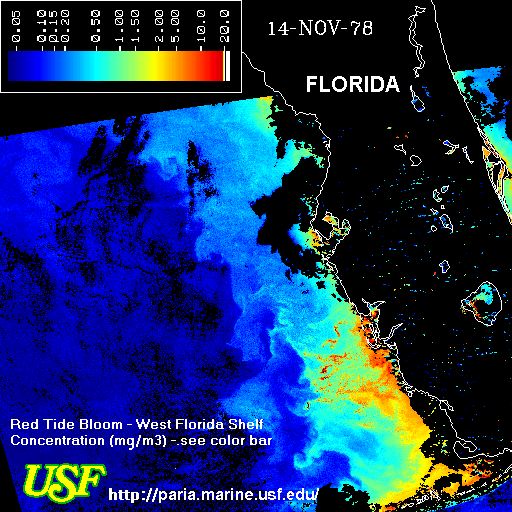 Harmful Algal Blooms Images