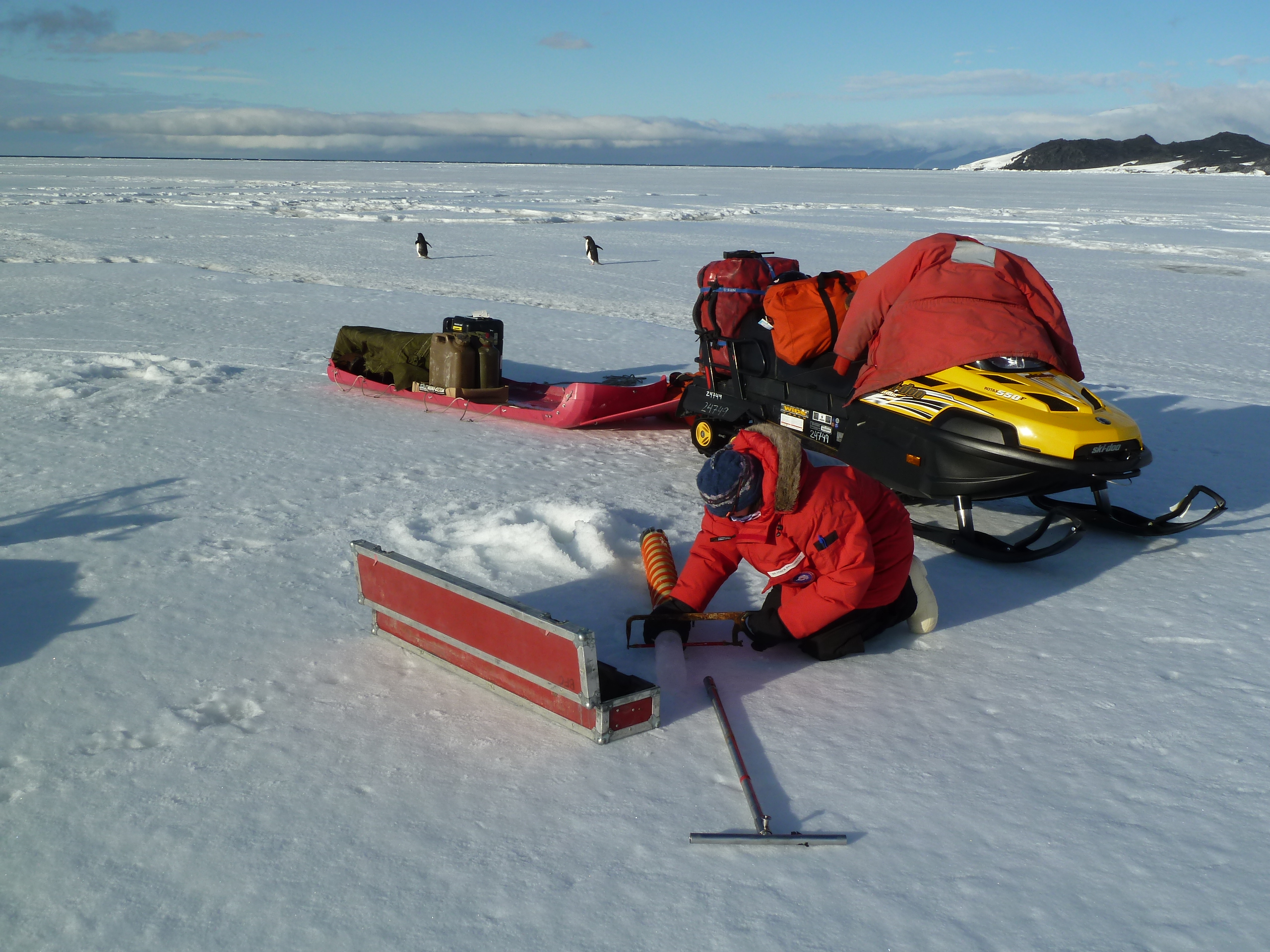 USFCMS researcher taking core samples in Antarctica