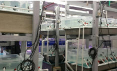 Aquarium Laboratory Aquarium Laboratory