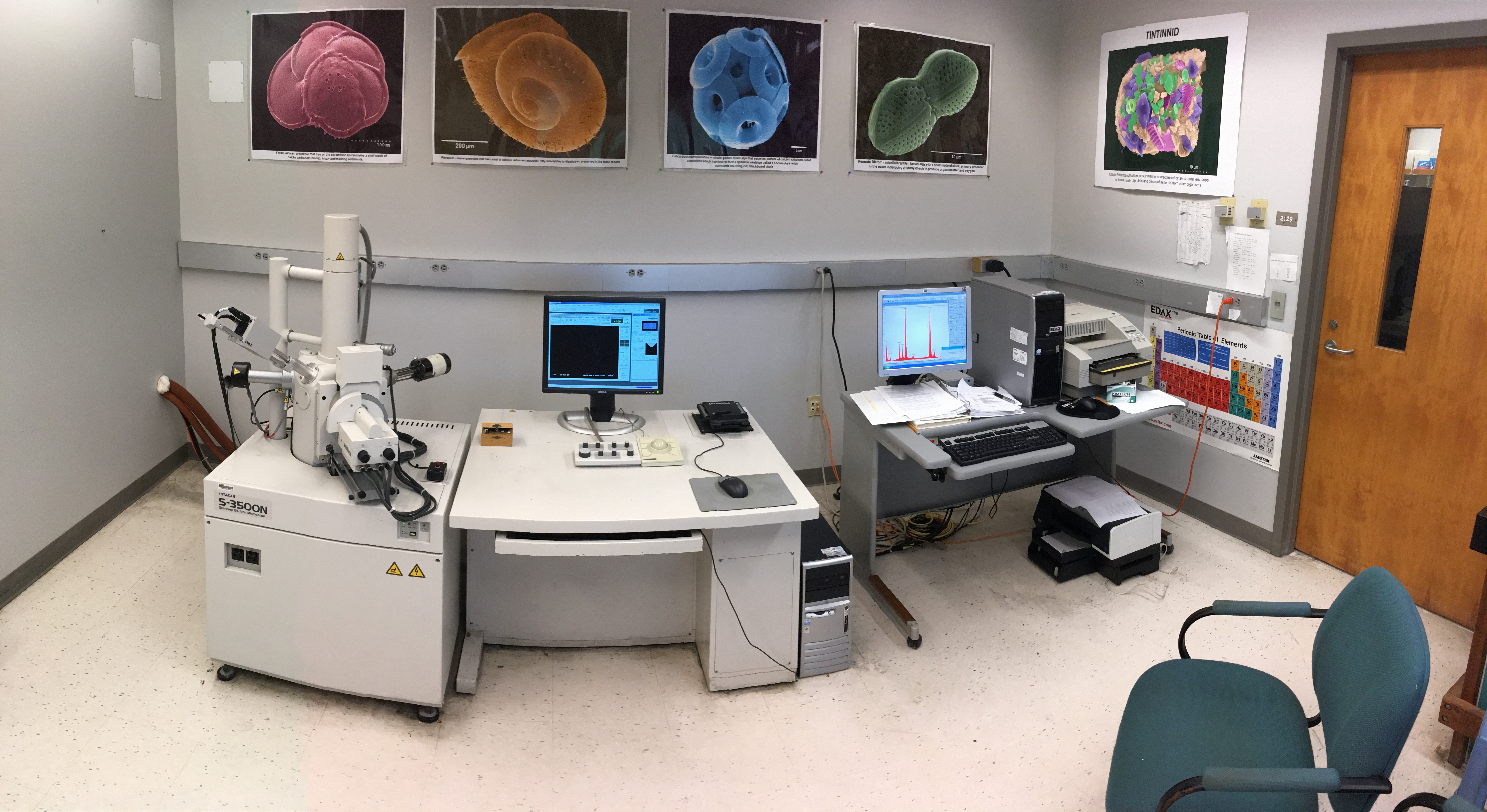 Electron Microscopy Laboratory - USF College of Marine Science