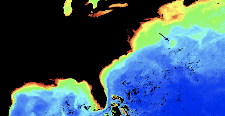 Image from NASA's MODIS satellite for October 2011, showing the Gulf Stream Eddy targeted in the study, picked out by surface chlorophyll (credit NASA)