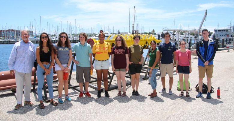 Research Experience for Undergraduates students are participating in an intensive 9-week summer course at USFCMS.