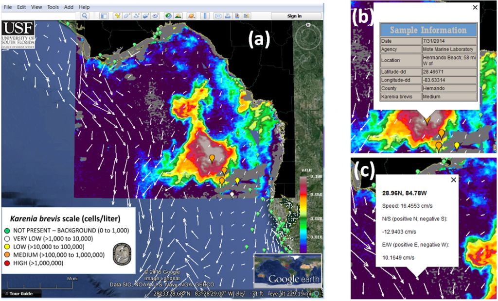 he Integrated Red Tide Information System pulls together a number of tools including satellite imagery, ocean circulation models, and water sampling data.