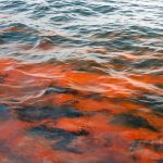 Oil Slick September 2012