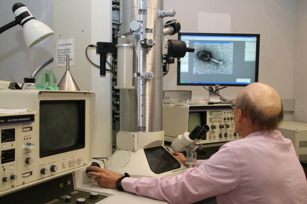 Caption: Manning the TEM station, Tony Greco looks at an image of an individual virus.