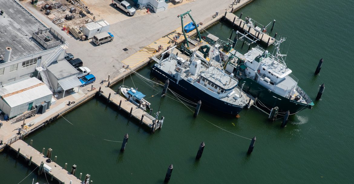 The Research Vessel (R/V) Weatherbird II and the Research Vessel (R/V) W.T. Hogarth homeported on Bayboro Harbor at USF College of Marine Science, St. Petersburg, Florida.