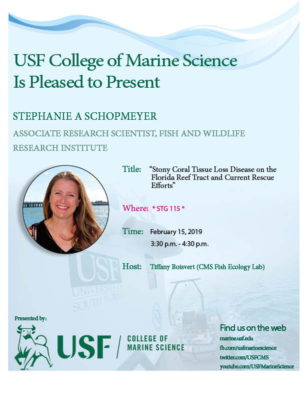 Stephanie A Schopmeyer, Associate Research Scientist