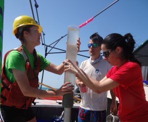 Gulf Of Mexico Sediment Core Schwing Romero
