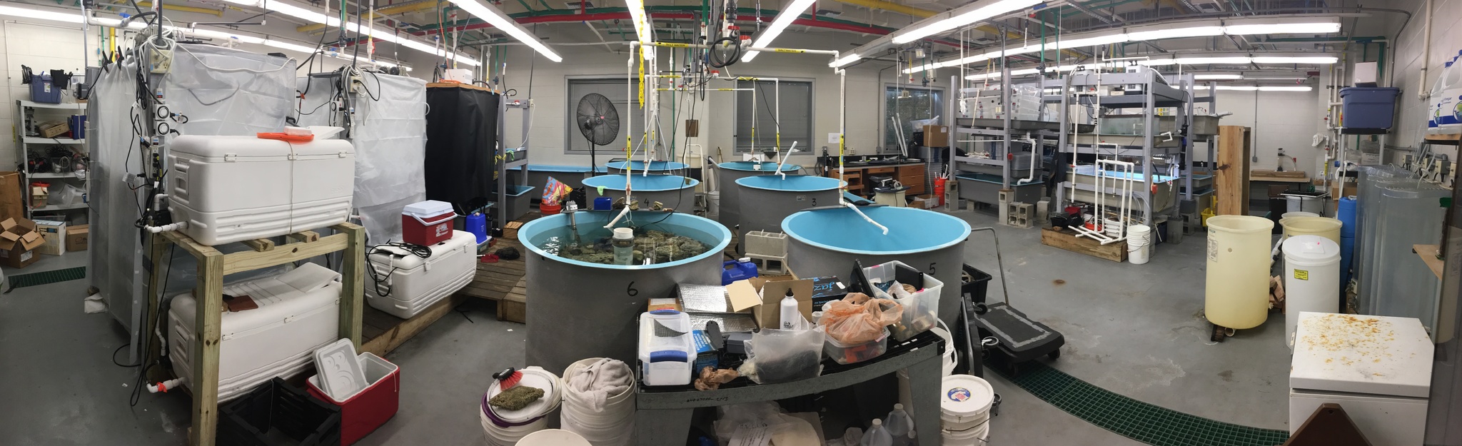 The Research Aquarium Lab - USF College of Marine Science