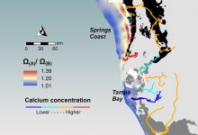 A map highlighting calcification potential in coastal waters by showing the effect of riverine calcium on calcium carbonate saturation states.