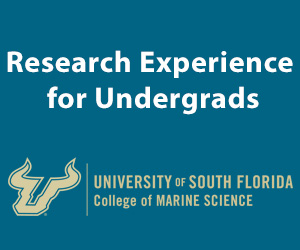 Research Experience for Undergrads