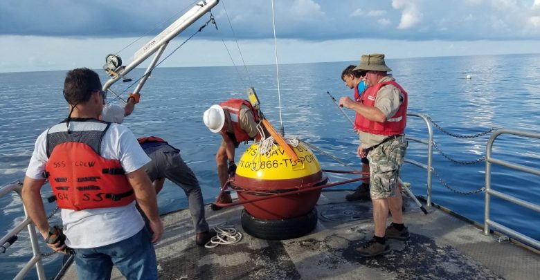 Undergraduate Internships at USF Center for Maritime and Port Studies