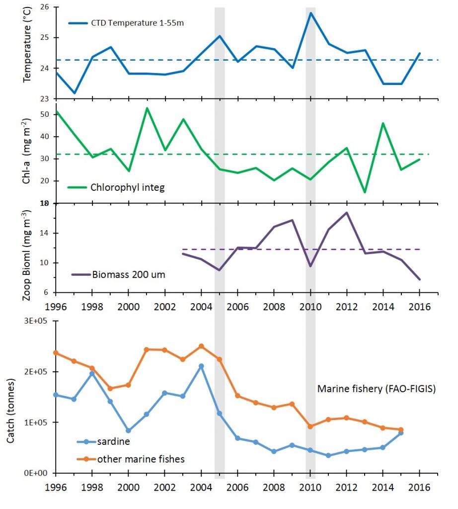The CARIACO science team documented relationships between the physical, chemical, geological, and biological characteristics of the ocean. In 2005, upwelling decreased, as indicated by the warmer water temperature (shown on top in blue). Phytoplankton, indicated by the chlorophyll graph in green, then decreased and the sardine population (bottom graph) crashed. Without predators, the zooplankton population (shown in purple) increased. As a combined result of the decreased upwelling and strong fishing pressure, nearly 75 percent of the fishing industry collapsed in 2005. Upwelling also decreased in 2010. The CARIACO science team documented relationships between the physical, chemical, geological, and biological characteristics of the ocean. In 2005, upwelling decreased, as indicated by the warmer water temperature (shown on top in blue). Phytoplankton, indicated by the chlorophyll graph in green, then decreased and the sardine population (bottom graph) crashed. Without predators, the zooplankton population (shown in purple) increased. As a combined result of the decreased upwelling and strong fishing pressure, nearly 75 percent of the fishing industry collapsed in 2005. Upwelling also decreased in 2010.